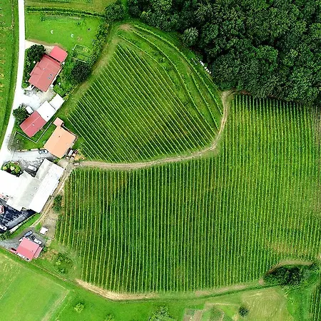 Prenocisca Sirec Bed & Breakfast