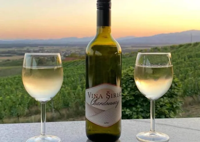 Prenocisca Sirec Ptuj