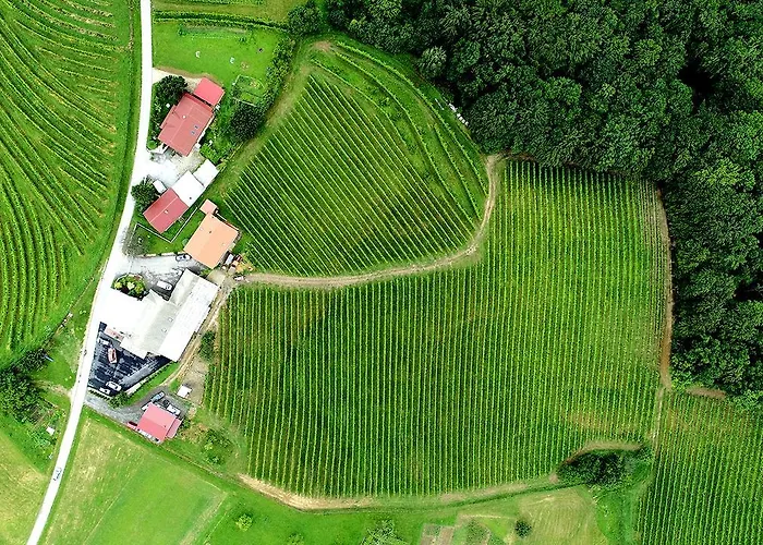 Prenocisca Sirec Bed & Breakfast